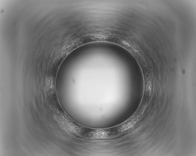 X0000059060518200510101052