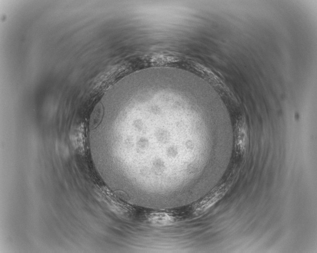 X0000059060519200510101052