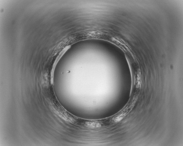 X0000059060520200510101052