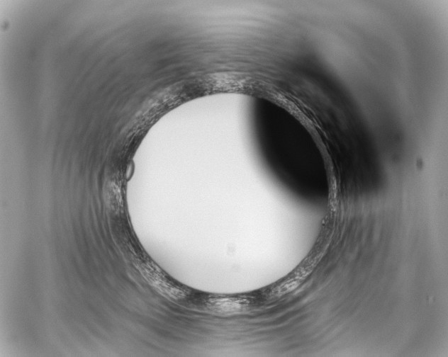 X0000059060522200510101052