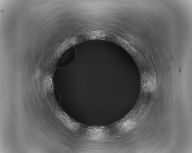 X0000059060523200510101052