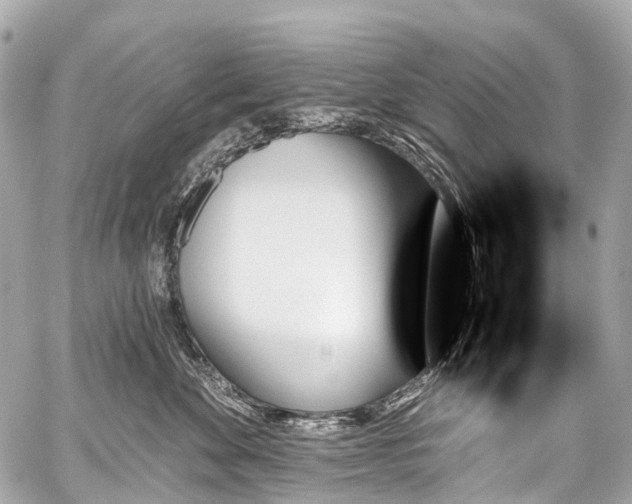 X0000059060524200510101052