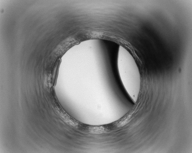 X0000059060525200510101052