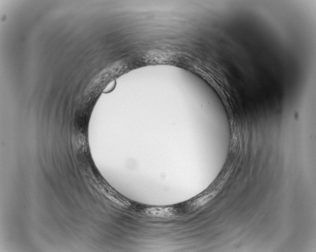 X0000059060526200510101052