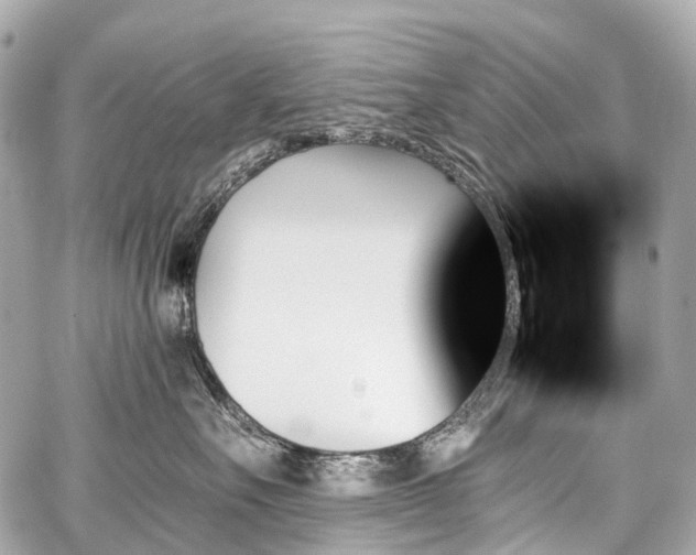 X0000059060527200510101052