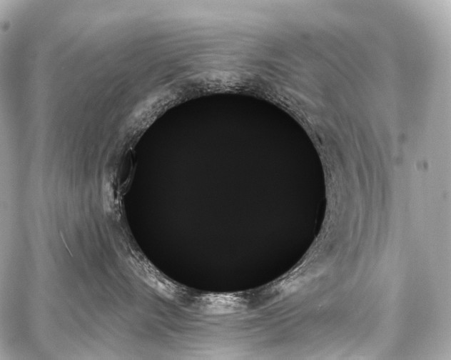 X0000059060528200510101052