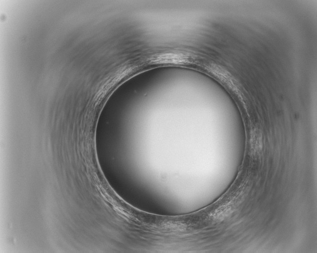 X0000059060529200510101051