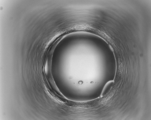 X0000059060530200510101051