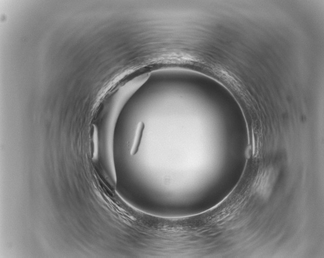 X0000059060531200510101051