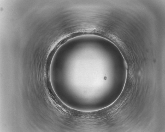 X0000059060532200510101051