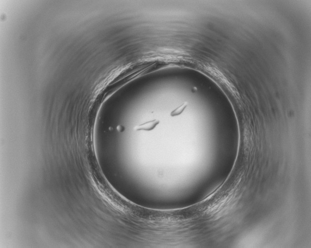 X0000059060533200510101051