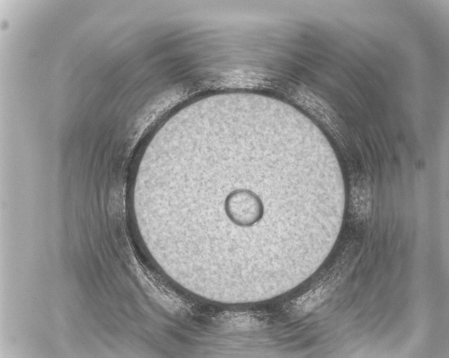 X0000059060534200510101051