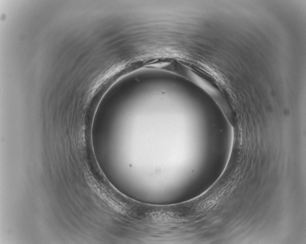 X0000059060535200510101051