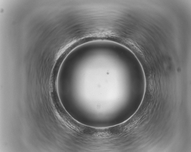 X0000059060536200510101051