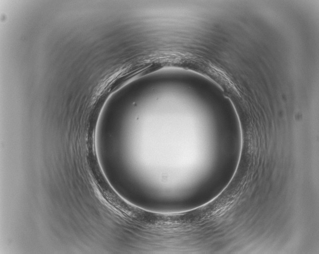 X0000059060538200510101051