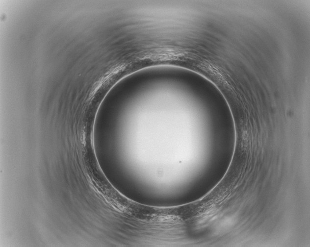 X0000059060539200510101051