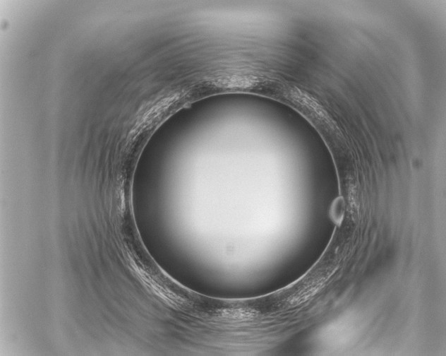 X0000059060541200510101051