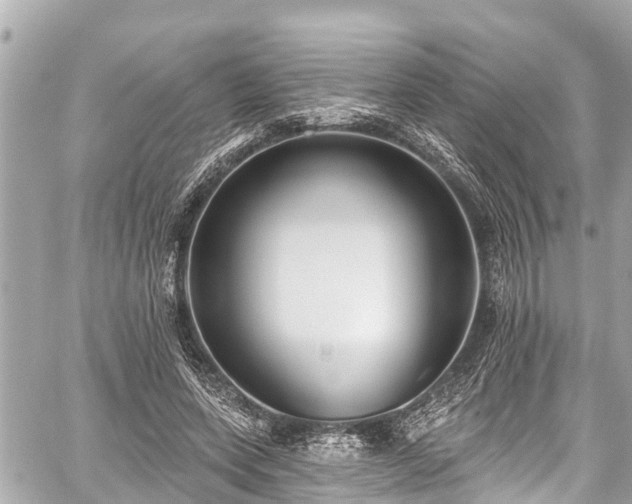 X0000059060543200510101051