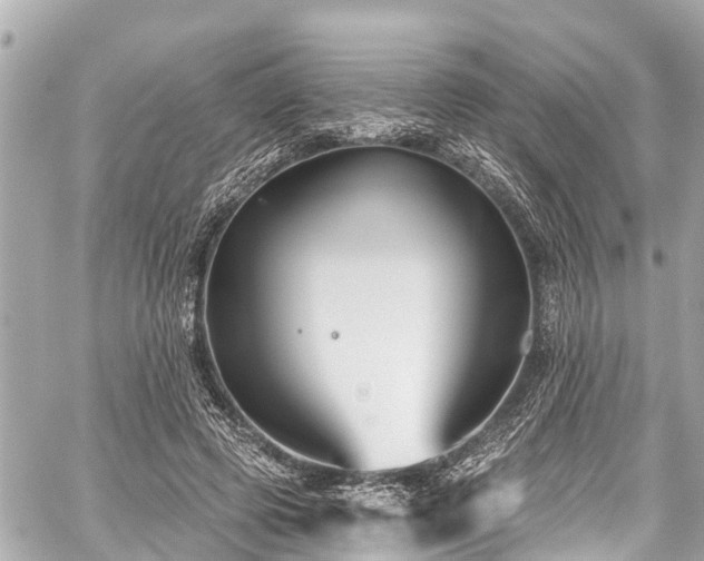 X0000059060545200510101051