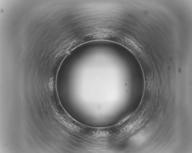 X0000059060549200510101051