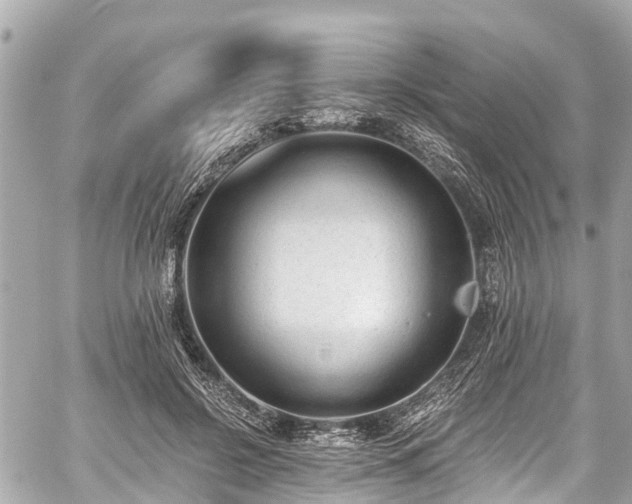 X0000059060550200510101051