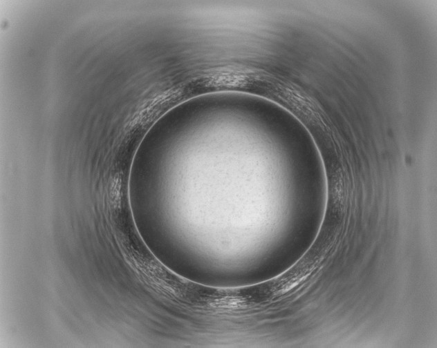 X0000059060551200510101051