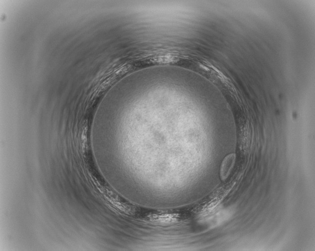 X0000059060553200510101051