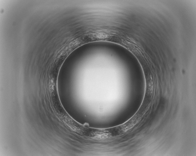 X0000059060555200510101051