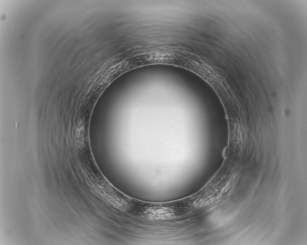 X0000059060557200510101051