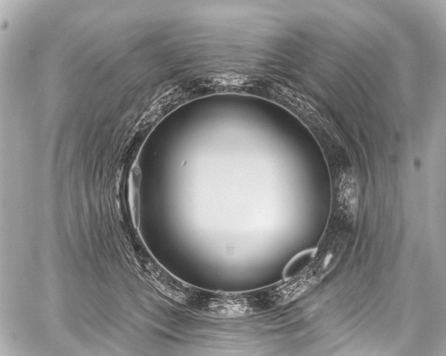 X0000059060559200510101051