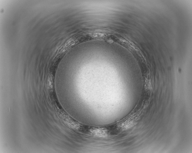 X0000059060561200510101051