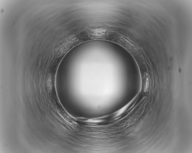 X0000059060562200510101051