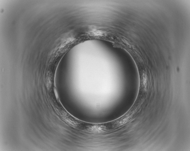 X0000059060566200510101052