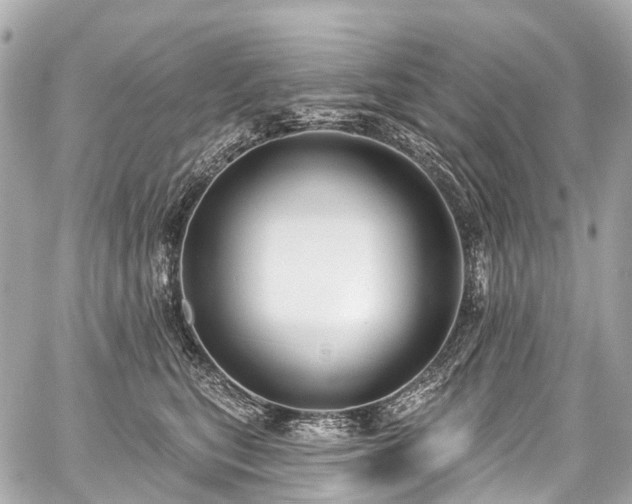 X0000059060567200510101052