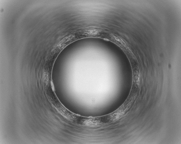 X0000059060568200510101052