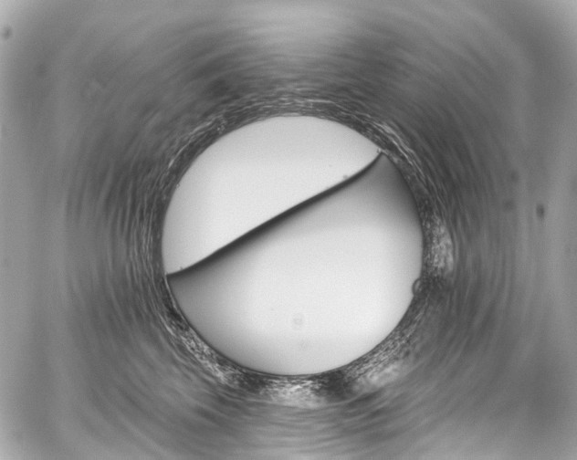 X0000059060569200510101052