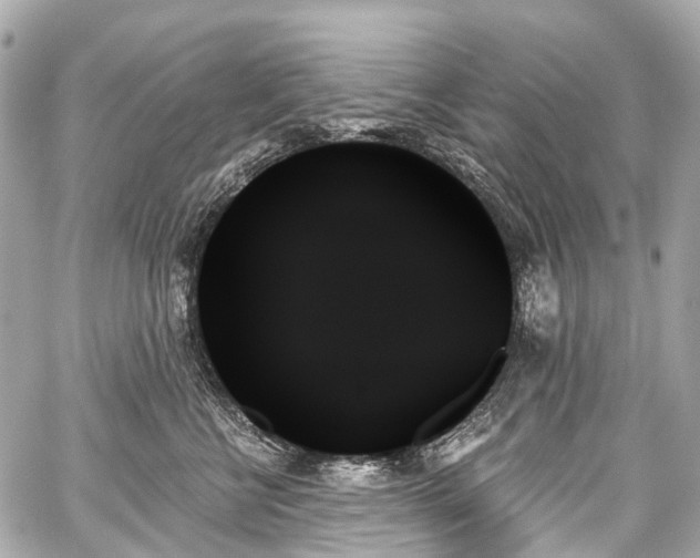 X0000059060570200510101052