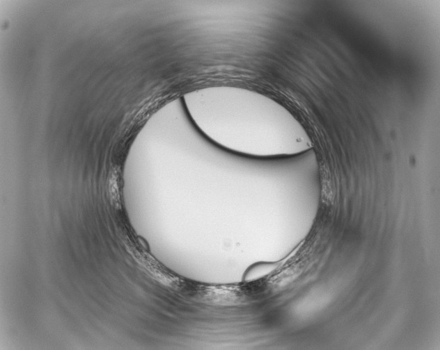 X0000059060573200510101052