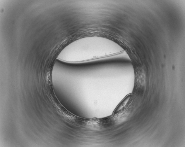 X0000059060574200510101052