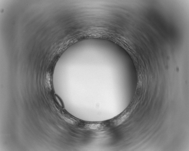 X0000059060575200510101052