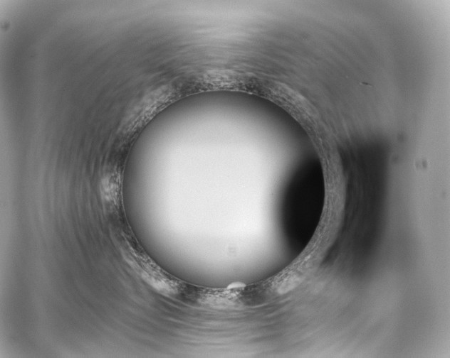 X0000059060576200510101052