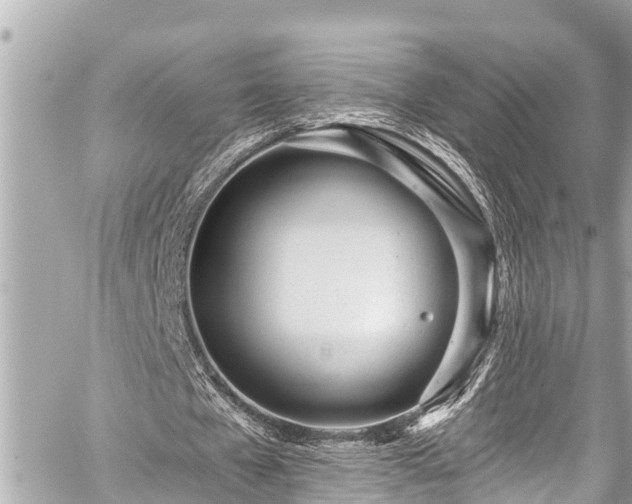 X0000059060577200510101051