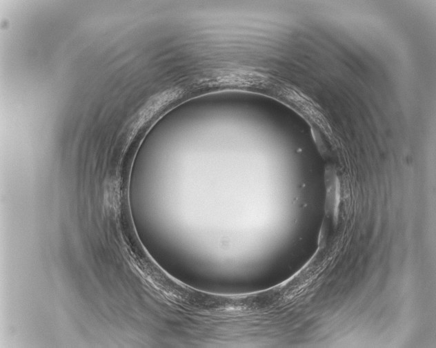 X0000059060578200510101051