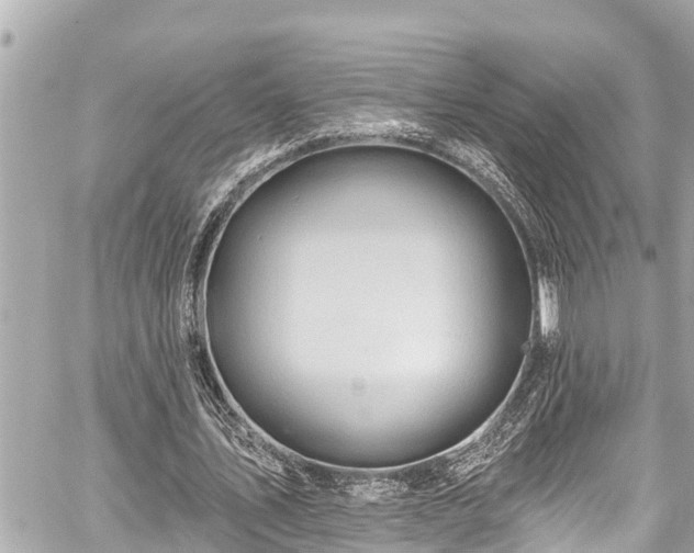 X0000059060579200510101051