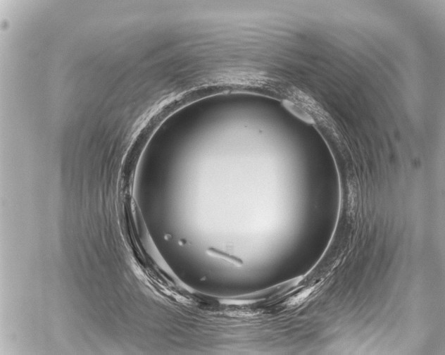 X0000059060580200510101051