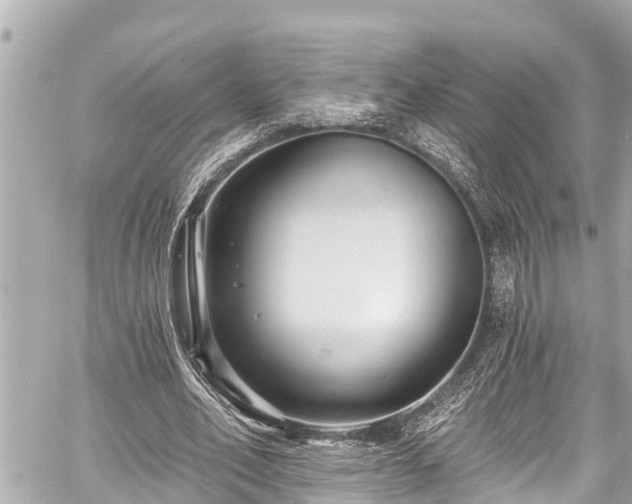 X0000059060582200510101051