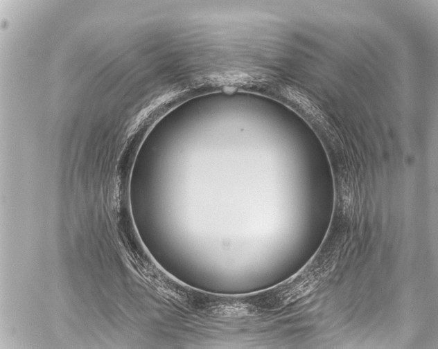 X0000059060583200510101051