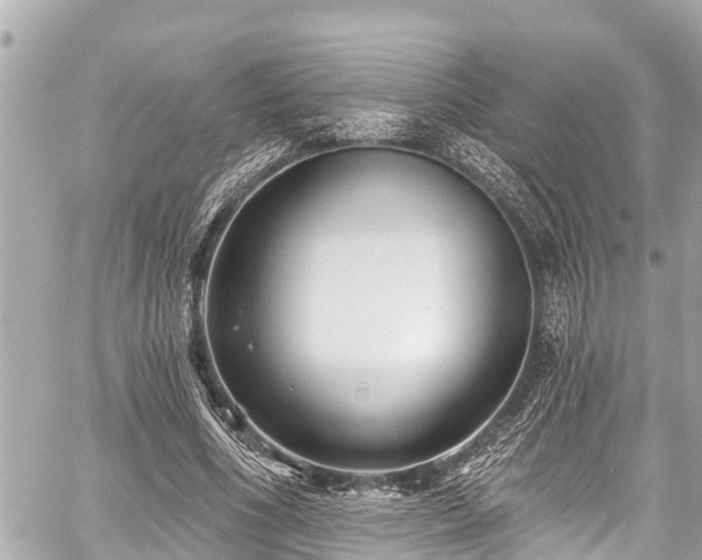 X0000059060586200510101051