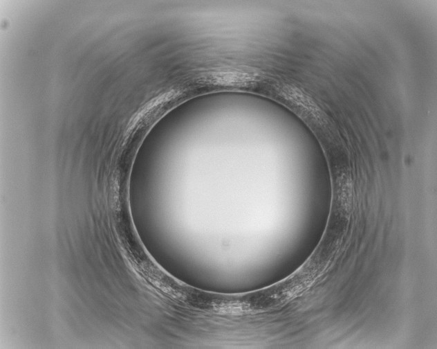 X0000059060587200510101051