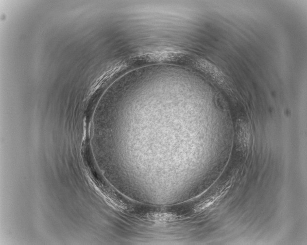 X0000059060590200510101051